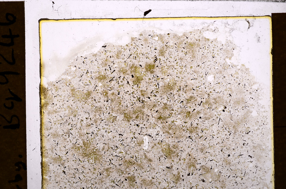 Plane Polarized, E31402