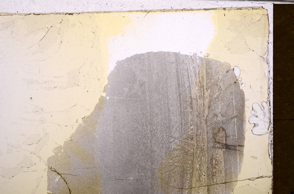 Plane Polarized, E31420