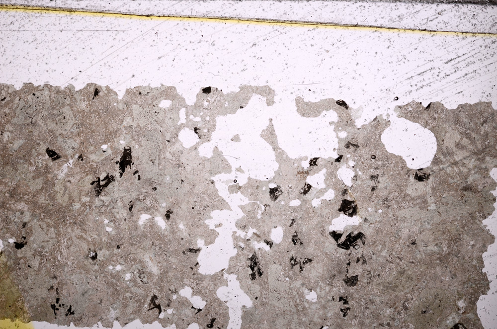 Plane Polarized, E31442