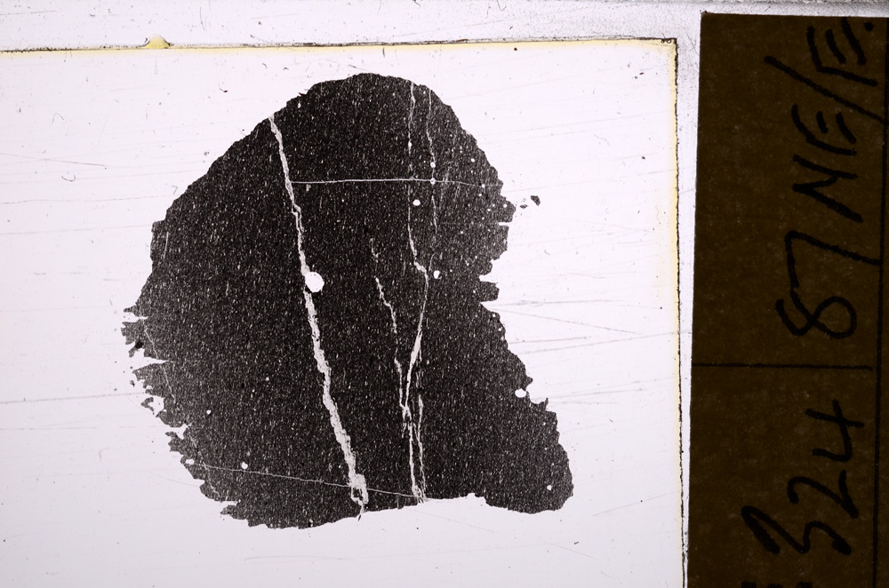 Plane Polarized, E31445