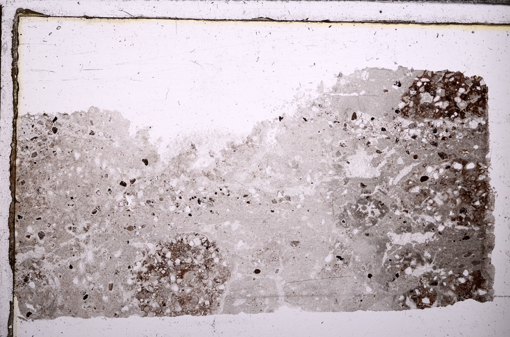 Plane Polarized, E31447