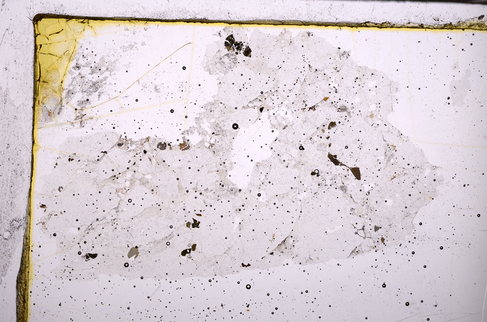 Plane Polarized, E31490