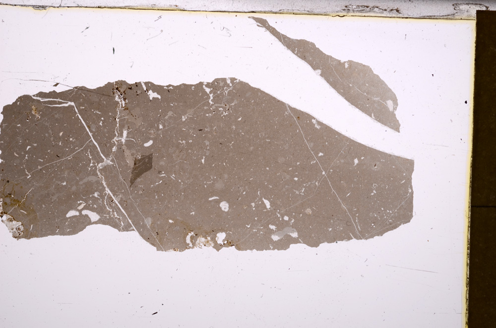 Plane Polarized, E31576