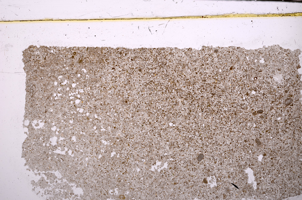 Plane Polarized, E31587