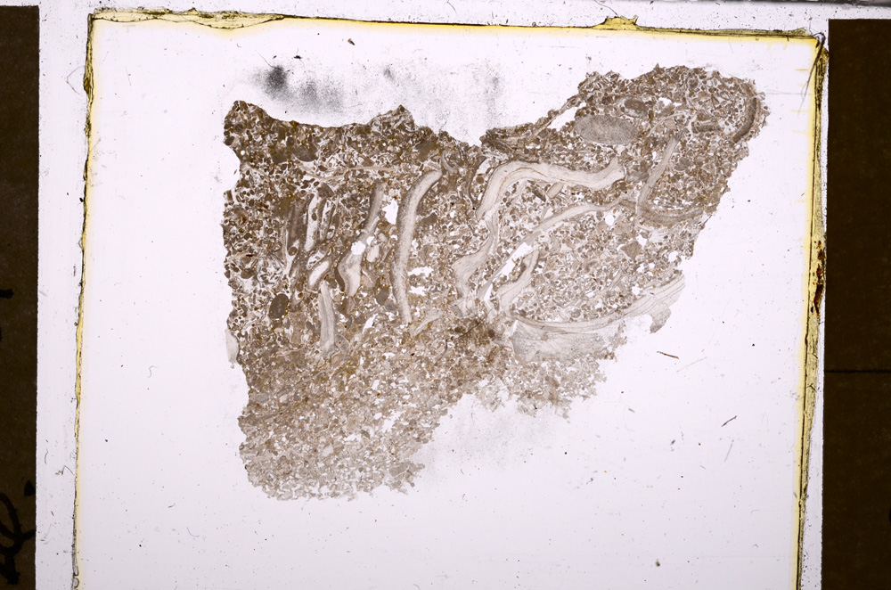 Plane Polarized, E31592