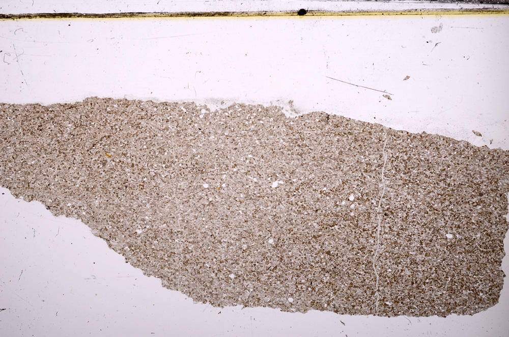 Plane Polarized, E31593