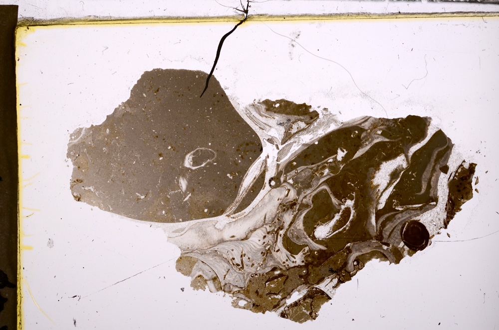 Plane Polarized, E31604