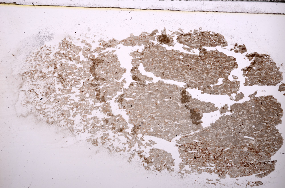 Plane Polarized, E31608