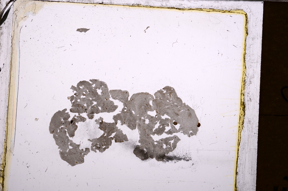 Plane Polarized, E31610