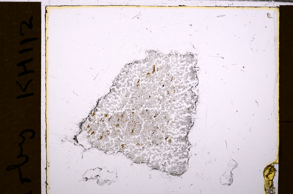 Plane Polarized, E31632