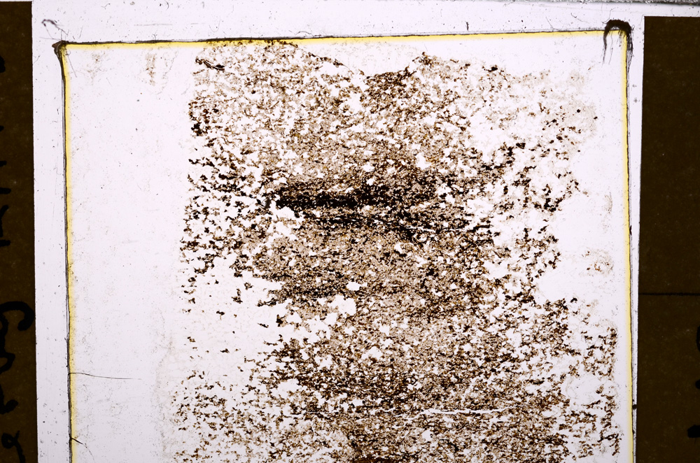 Plane Polarized, E31635