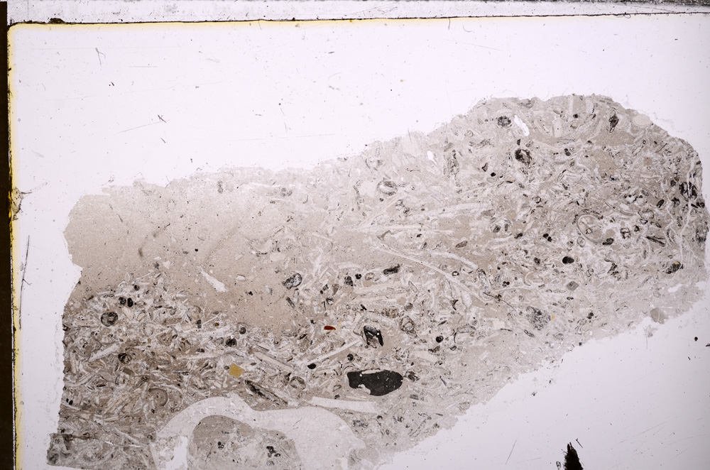 Plane Polarized, E31680