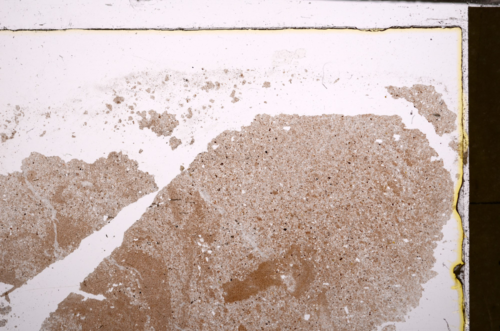 Plane Polarized, E31723