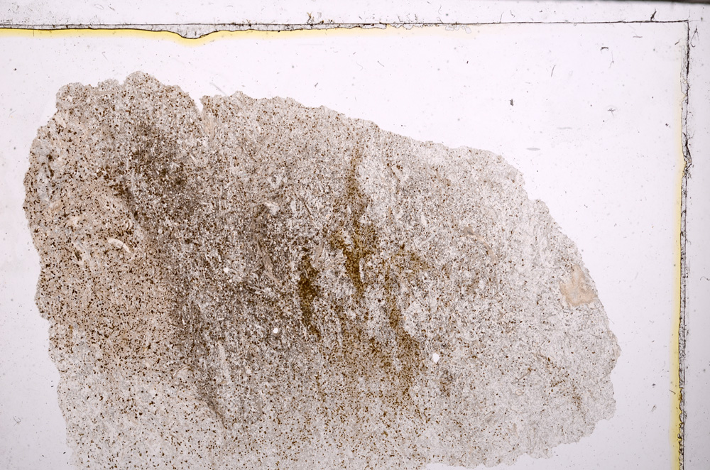 Plane Polarized, E31754