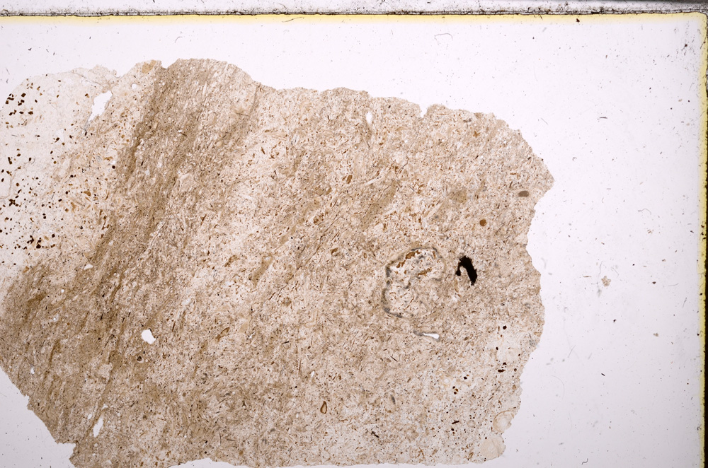 Plane Polarized, E31757