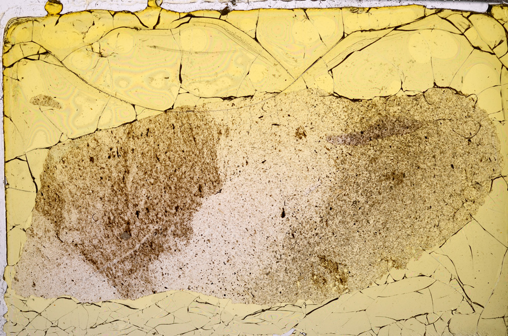 Plane Polarized, E31759