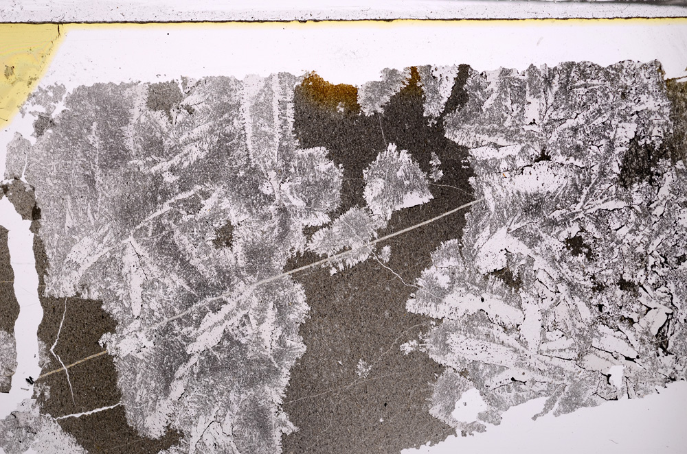 Plane Polarized, E31975