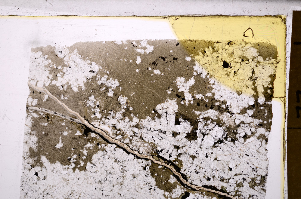 Plane Polarized, E32115