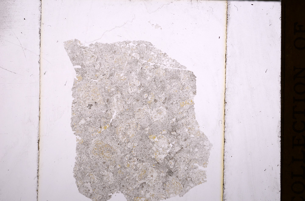 Plane Polarized, E32170