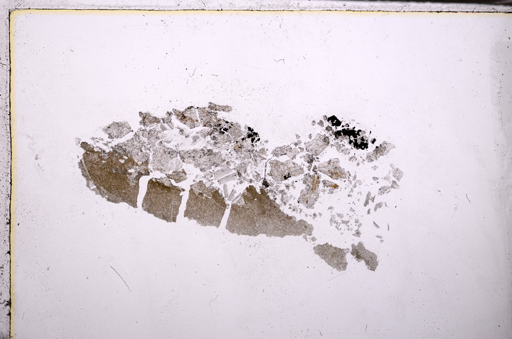 Plane Polarized, E32226