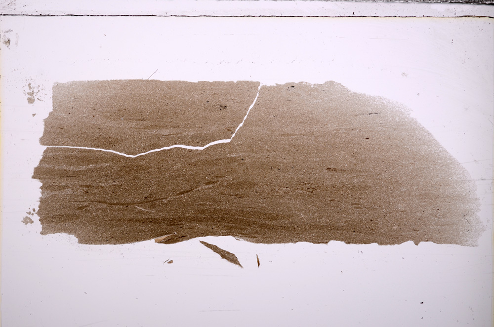 Plane Polarized, E32298