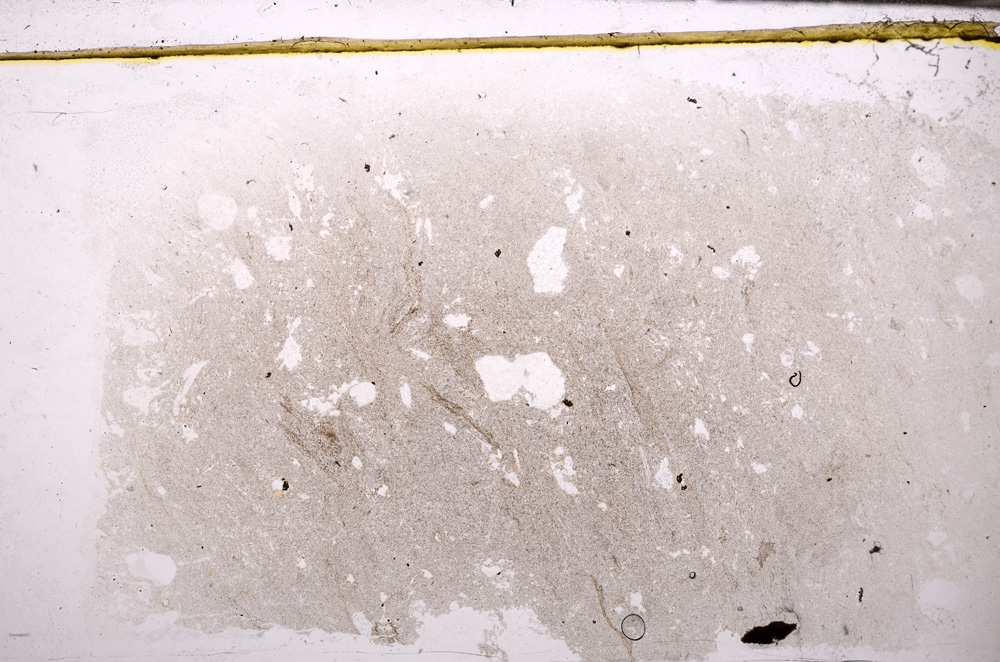 Plane Polarized, E32382