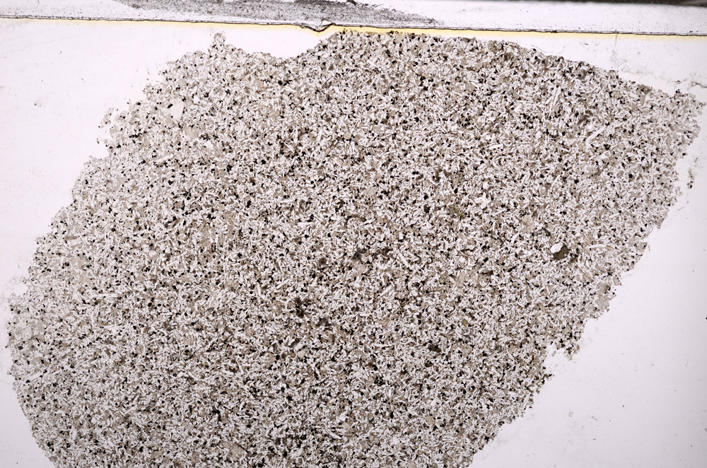 Plane Polarized, E32393