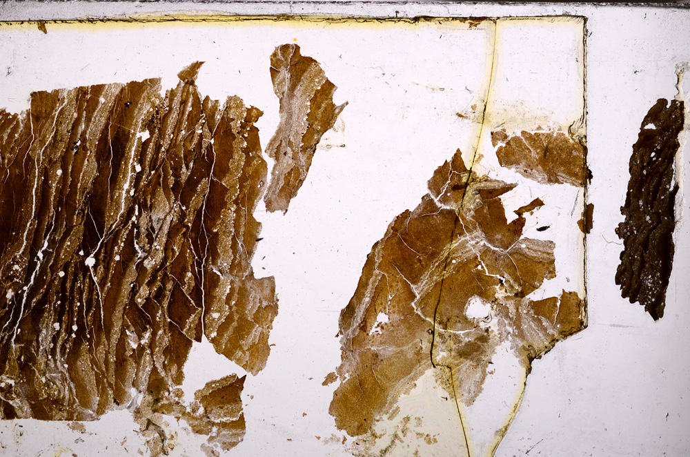 Plane Polarized, E32394