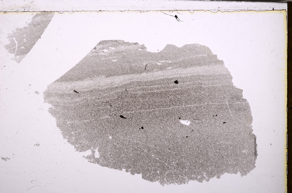 Plane Polarized, E32552