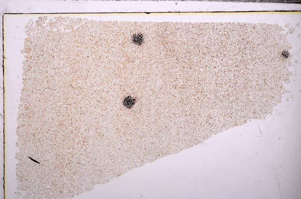 Plane Polarized, E32641