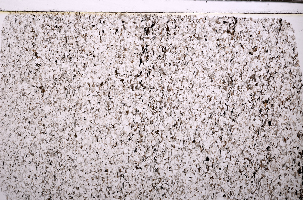 Plane Polarized, E32721