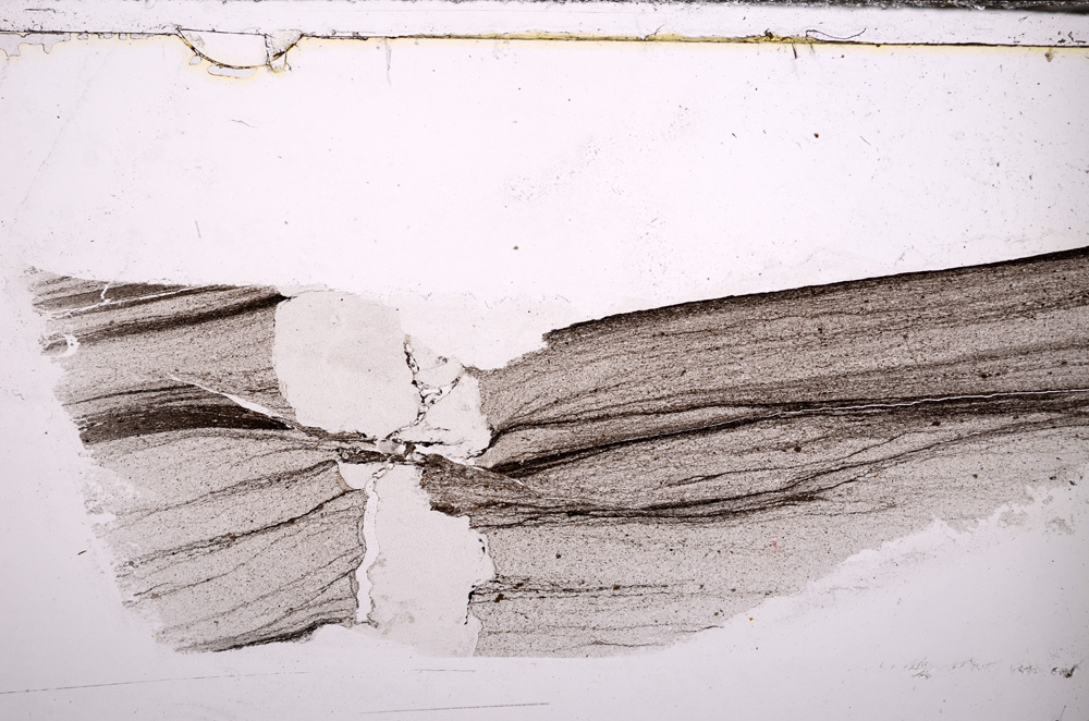 Plane Polarized, E32757