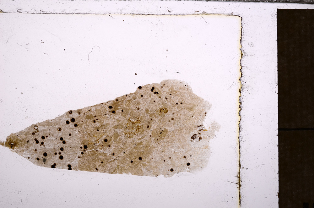 Plane Polarized, E32796