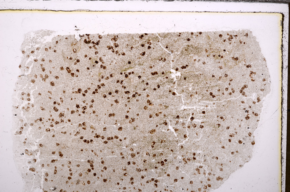 Plane Polarized, E32797