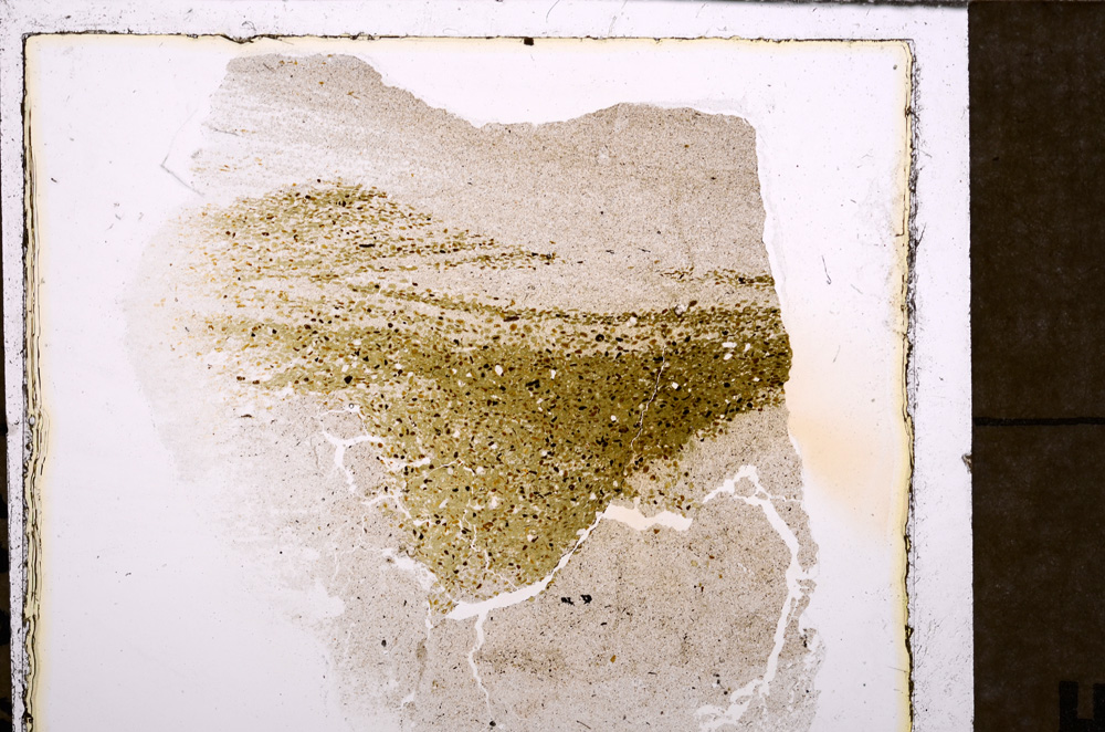 Plane Polarized, E32799