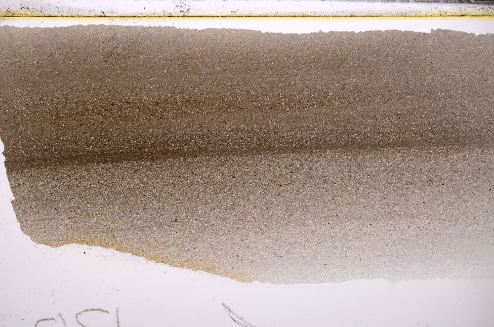 Plane Polarized, E32898