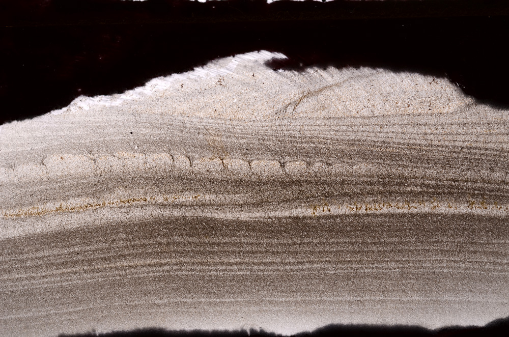 Plane Polarized, E32901