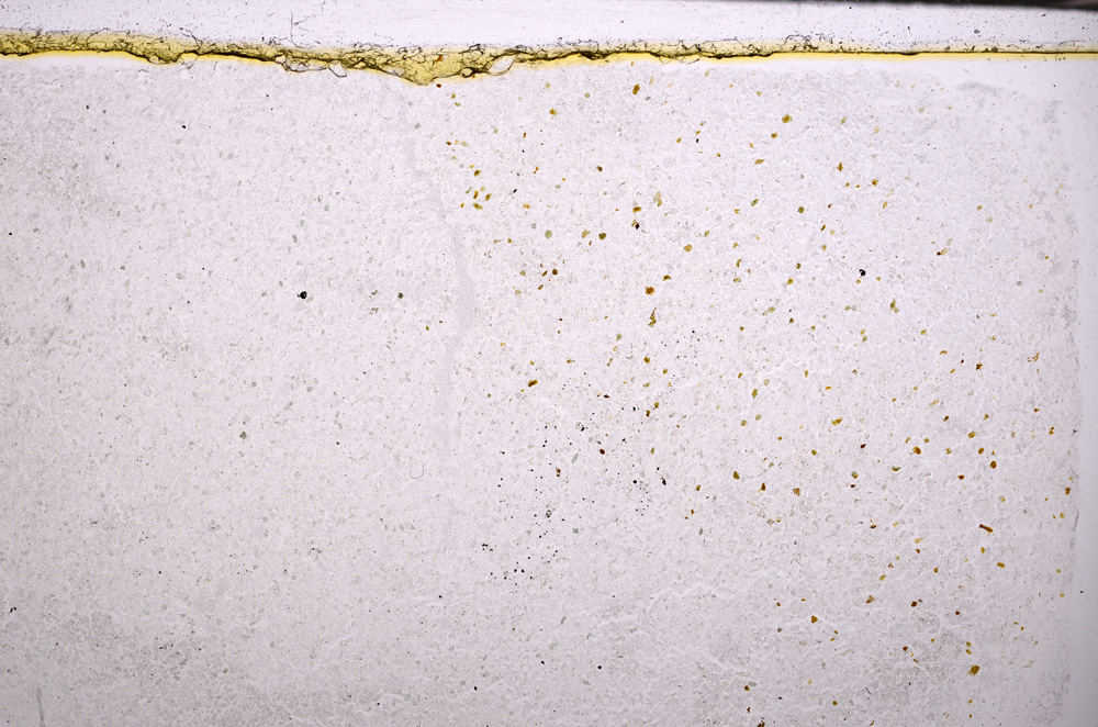 Plane Polarized, E32989