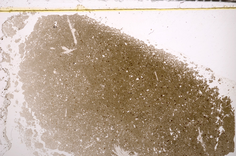 Plane Polarized, E33051