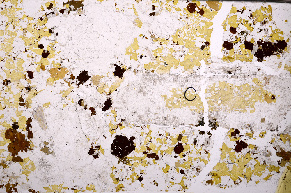 Plane Polarized, E33067