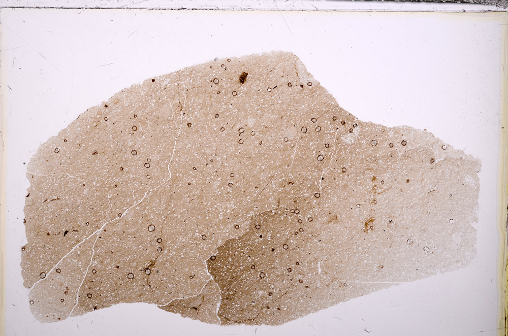 Plane Polarized, E33111