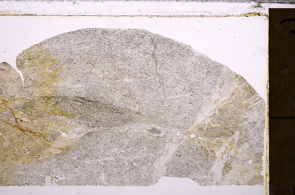 Plane Polarized, E33327