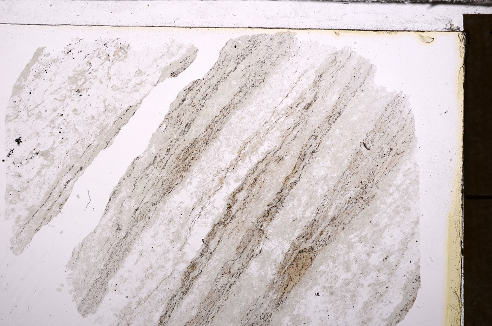 Plane Polarized, E33330