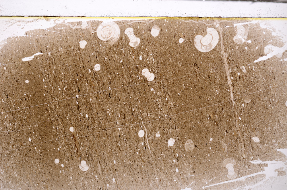Plane Polarized, E33422