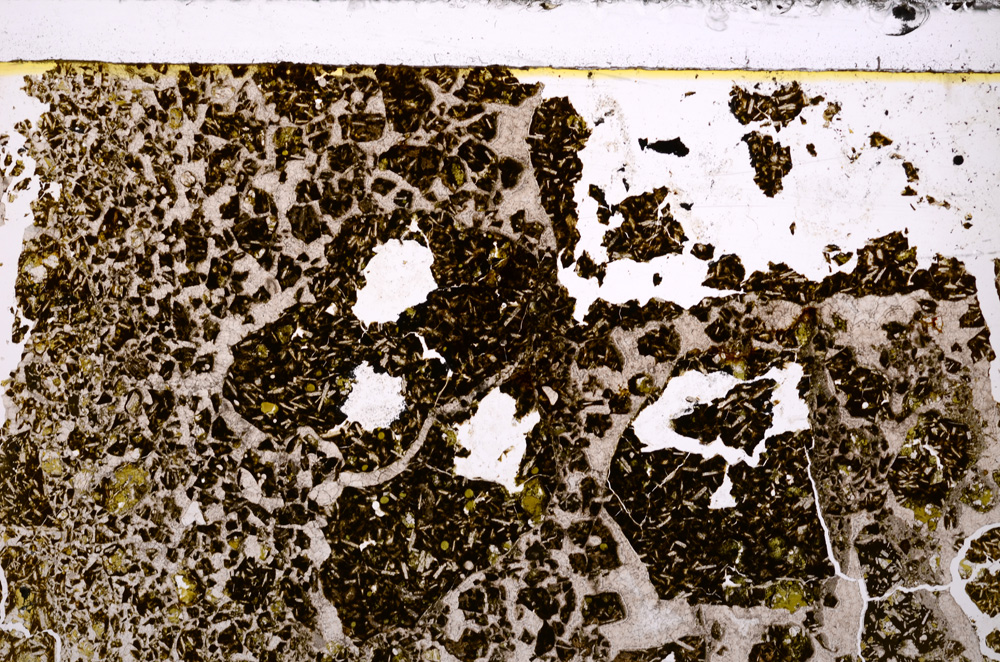 Plane Polarized, E33468