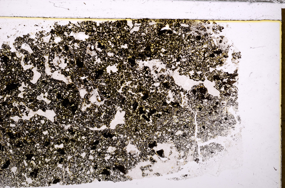 Plane Polarized, E33476