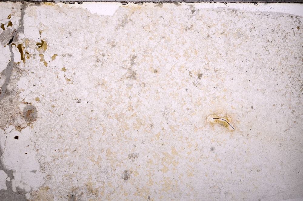 Plane Polarized, E33496