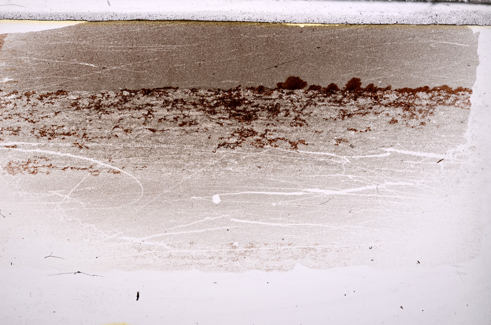 Plane Polarized, E33543