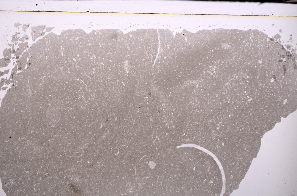 Plane Polarized, E33693