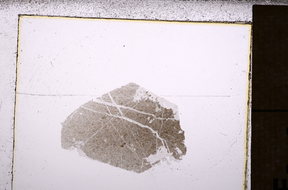 Plane Polarized, E33790